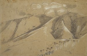 Palme reali, Santiago de Cuba da Winslow Homer